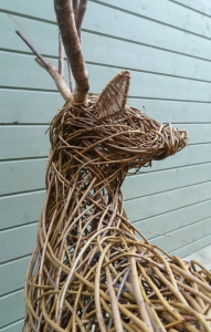 stag close up