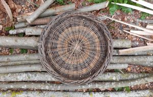 Blue and Green Spiral tray 1